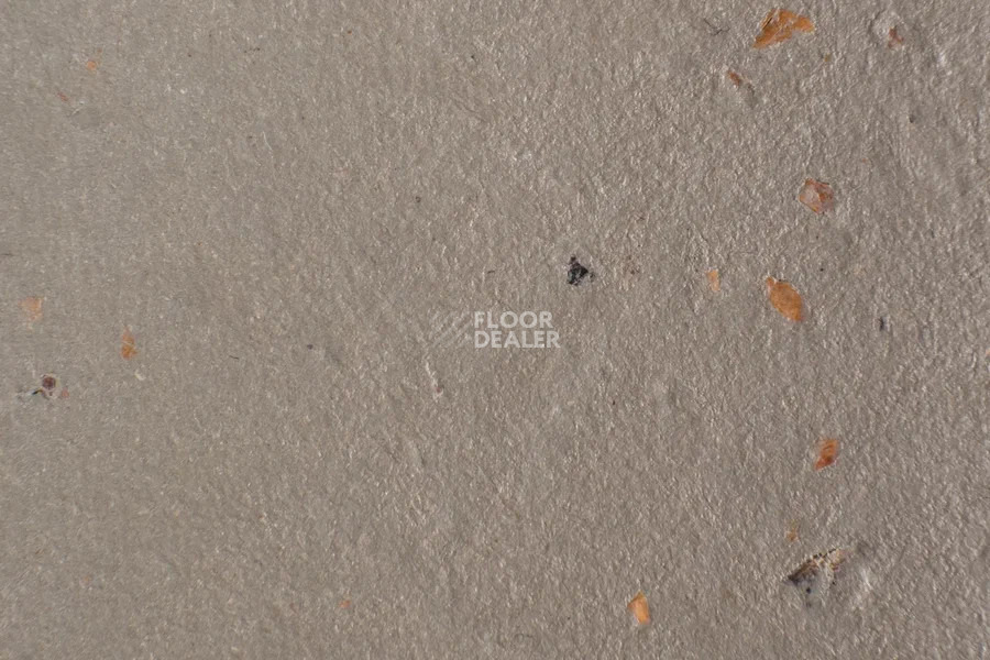 Forbo Marmoleum Solid Cocoa 3580-358035 milk chocolate фото 2 | FLOORDEALER
