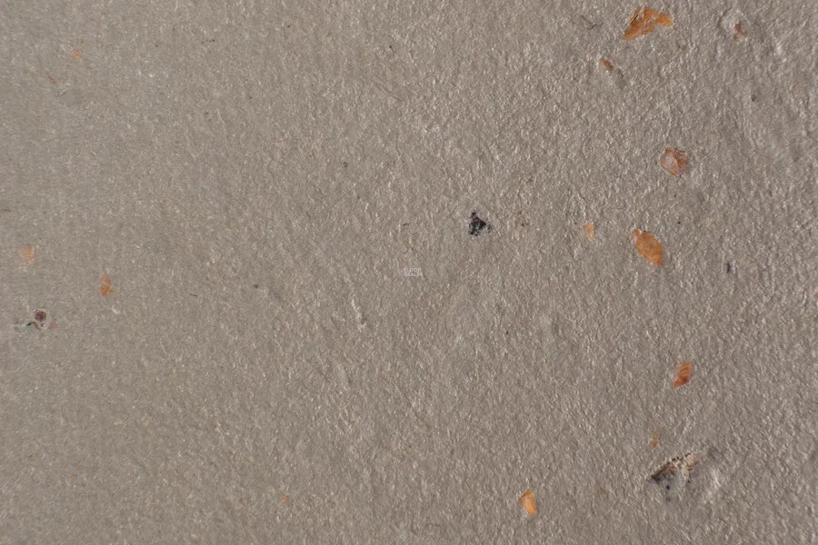 Forbo Marmoleum Solid Cocoa 3580-358035 milk chocolate фото 2 | FLOORDEALER