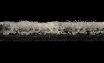 Balsan Signal Balsan Signal 930 фото 5 | FLOORDEALER