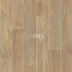 Линолеум Tarkett Eruption Spenser 1 фото 1 | FLOORDEALER