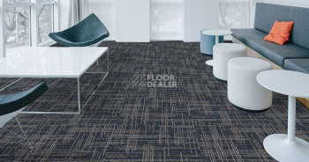 Casini Casini 557 фото 2 | FLOORDEALER