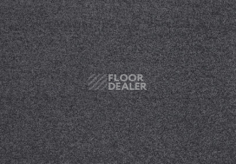 Ковролин Lano Lounge 830 Elephant фото 1 | FLOORDEALER