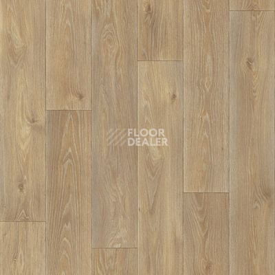 Линолеум Tarkett Eruption Spenser 1 фото 1 | FLOORDEALER