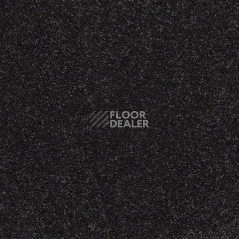 Ковролин Shaw Design Texture Platinum 591 фото 1 | FLOORDEALER