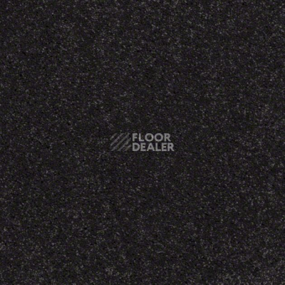 Ковролин Shaw Design Texture Platinum 591 фото 1 | FLOORDEALER