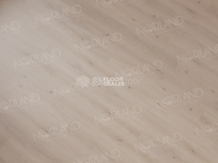 Norland Sigrid Superior 8мм Baggy 1008-7 ABA фото 3 | FLOORDEALER