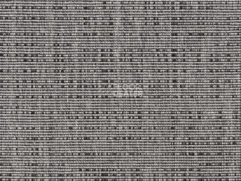 Ковролин Betula Betula 6335 95 фото 1 | FLOORDEALER