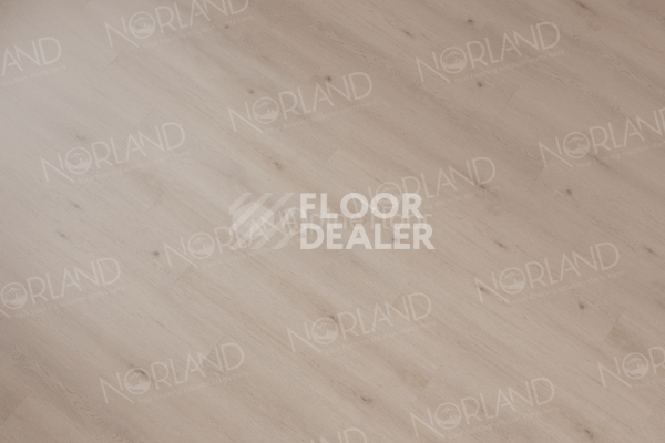 Виниловая плитка ПВХ Norland Sigrid Superior 8мм Baggy 1008-7 ABA фото 2 | FLOORDEALER