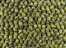 AW Maxima 21 фото 5 | FLOORDEALER