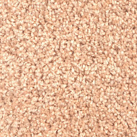 Ковролин Зартекс Фортуна Фортуна 004 Кремовый фото 1 | FLOORDEALER