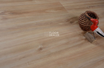 Evofloor Optima Click 4.2мм Груша Капучино фото 4 | FLOORDEALER