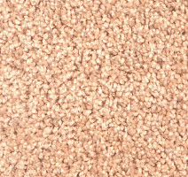 Ковролин Зартекс Фортуна Фортуна 004 Кремовый фото 1 | FLOORDEALER