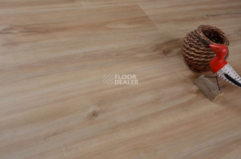 Evofloor Optima Click 4.2мм Груша Капучино фото 4 | FLOORDEALER