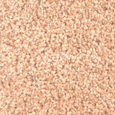 Ковролин Зартекс Фортуна Фортуна 004 Кремовый фото 1 | FLOORDEALER