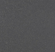 Линолеум Forbo Marmoleum Solid Walton 3368-336835 grey iron фото 1 | FLOORDEALER