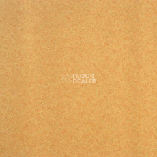 Линолеум Lg Calmpasso CP 93402 фото 1 | FLOORDEALER