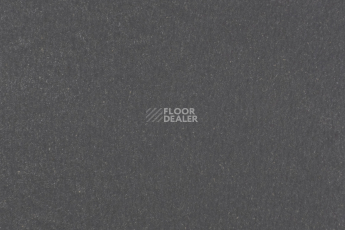 Forbo Marmoleum Solid Walton 3368-336835 grey iron фото 1 | FLOORDEALER