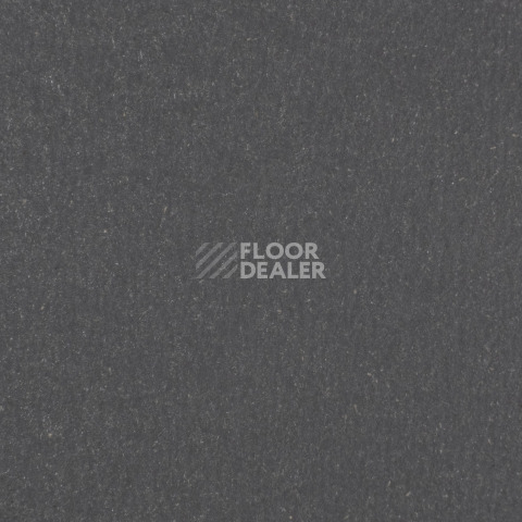 Линолеум Forbo Marmoleum Solid Walton 3368-336835 grey iron фото 1 | FLOORDEALER