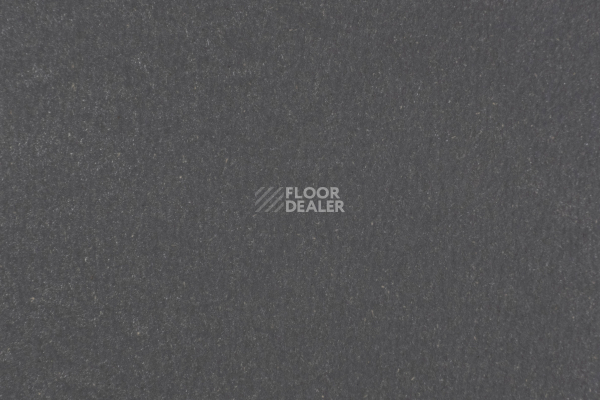 Линолеум Forbo Marmoleum Solid Walton 3368-336835 grey iron фото 1 | FLOORDEALER