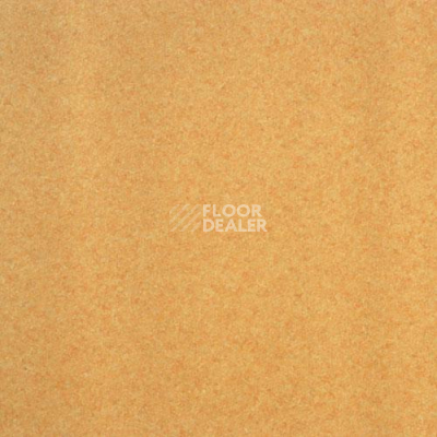 Линолеум Lg Calmpasso CP 93402 фото 1 | FLOORDEALER