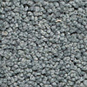 Ковролин Girloon Body1 551  | FLOORDEALER