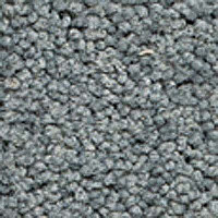 Ковролин Girloon Body1 551 фото 1 | FLOORDEALER