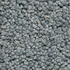 Ковролин Girloon Body1 551 фото 1 | FLOORDEALER