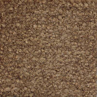 Ковролин Emphatic Beaulieu of America 56710 фото 1 | FLOORDEALER