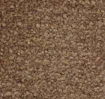 Ковролин Emphatic Beaulieu of America 56710 фото 1 | FLOORDEALER