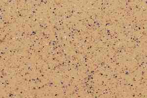 Линолеум Grabo Diamond Standart Plaza 4115_451_06 фото  | FLOORDEALER