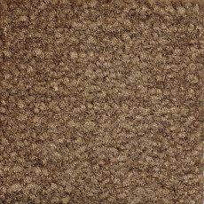 Ковролин Emphatic Beaulieu of America 56710 фото 1 | FLOORDEALER