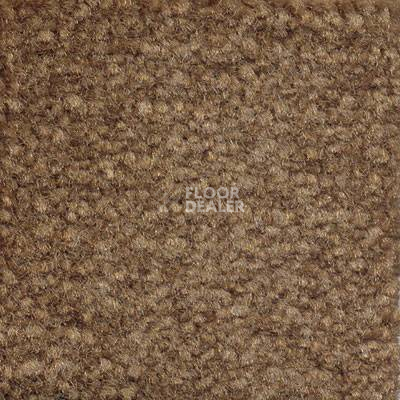 Ковролин Emphatic Beaulieu of America 56710 фото 1 | FLOORDEALER