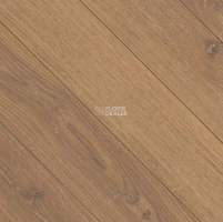 Parador Trendtime 3 1744701 Дуб Studioline Мед фото 2 | FLOORDEALER