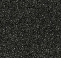 Ковролин AW Raffles 98 фото 1 | FLOORDEALER