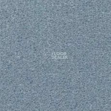 Ковролин Radici Montecarlo 80 фото 1 | FLOORDEALER