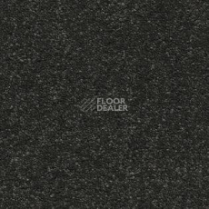 Ковролин AW Raffles 98 фото 1 | FLOORDEALER
