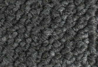 Desso Grain 9501 фото 3 | FLOORDEALER