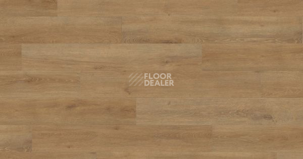 Ламинат Haro Tritty 100 Gran Via 4V ДУБ ВЕНЕТО НАТУР 541520 фото 1 | FLOORDEALER