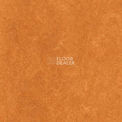 Линолеум Marmorette Acoustic DLW 121-174 фото 1 | FLOORDEALER