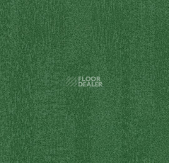 Ковровая плитка Flotex Colour Penang 50*50 t 382010 Penang Evergreen фото 1 | FLOORDEALER