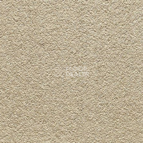 Ковролин ITC Anemone ITC Anemone 035 фото 1 | FLOORDEALER
