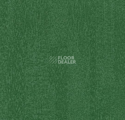 Ковровая плитка Flotex Colour Penang 50*50 t 382010 Penang Evergreen фото 1 | FLOORDEALER