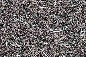 Ковролин Flotex by Starck Vortex 313001 Vortex White a3 фото  | FLOORDEALER