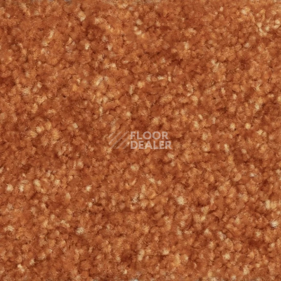 Ковролин AW Masquerade Certosa 38 фото 1 | FLOORDEALER