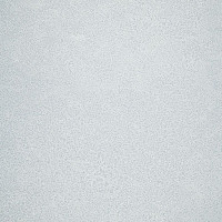 Линолеум Novoflor Extra Sparkle 2440-57 фото 1 | FLOORDEALER