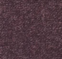 Ковролин Emphatic Beaulieu of America 56995 фото 1 | FLOORDEALER