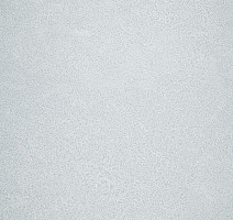 Линолеум Novoflor Extra Sparkle 2440-57 фото 1 | FLOORDEALER