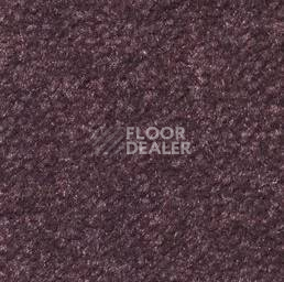 Ковролин Emphatic Beaulieu of America 56995 фото 1 | FLOORDEALER