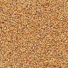 Ковровая плитка Forbo Sharepoint 1197 фото 1 | FLOORDEALER