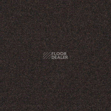 Ковровая плитка Interface Polichrome 7566 Espresso фото 1 | FLOORDEALER